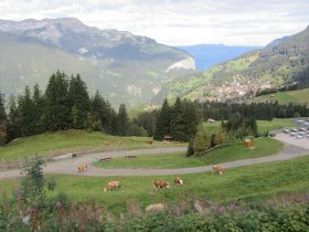 On the way to Jungfraujoch
